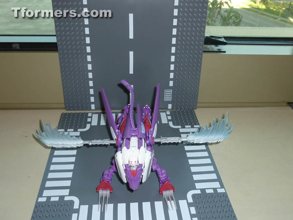 Botcon 2014 Knight 3 Pack Attendee Set  (25 of 82)